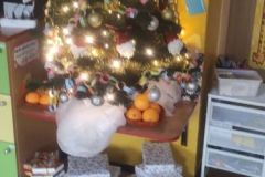 img_20231222_121801