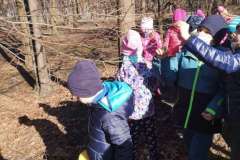 IMG_20210303_093950-F1022x1022