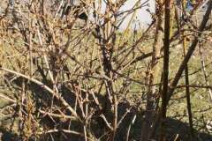 IMG_20210303_094548-F1022x1022