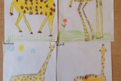 IMG_20220304_104344_800x600