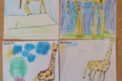 IMG_20220304_104413_800x600