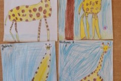 IMG_20220304_104932_800x600