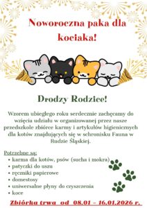 Noworoczna paka dla kociaka! (1)