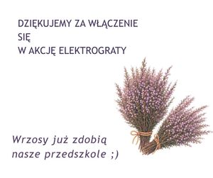 Fioletowy i Zielony Minimalistyczny Jesienny Wrzosy Post na Facebooka (2)